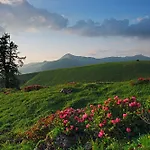 Tschuggen Grand - The Leading Of The World Arosa